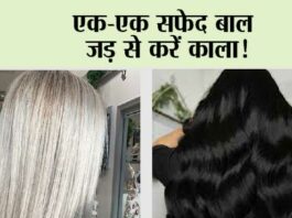 White Hair Gone in 2 Steps: सफेद बालों को फिर से काला करना चाहतें हैं, तो इन तीन Remedy का करें इस्तेमाल पाएं खूबसूरत बाल White Hair Gone in 2 Steps