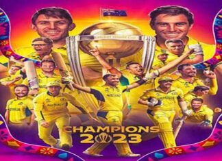 Cricket World Cup