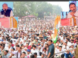 Rajasthan Election 2023