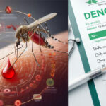 Dengue Day