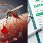 संगरूर में डेंगू-चिकनगुनिया की रफ्तार थमी, मरीजों को मिल रही राहत Sangrur News