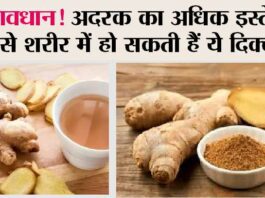 Ginger Health Risk