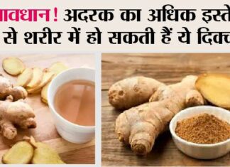 Ginger Health Risk