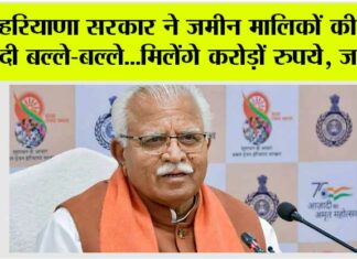 Haryana News: