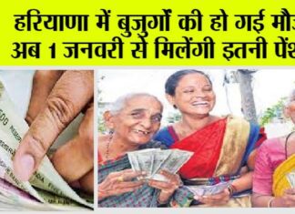 Haryana Pension Scheme