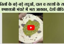 MSG Bhandara Highlights