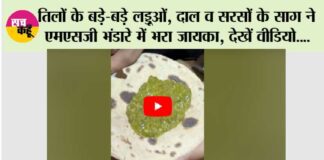 MSG Bhandara Highlights