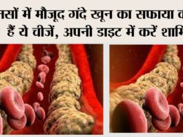 Normal Cholesterol Level: नसों में मौजूद गंदे खून का सफाया करती हैं ये चीजें, अपनी डाइट में करें शामिल Normal Cholesterol Level: