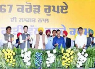 Punjab News
