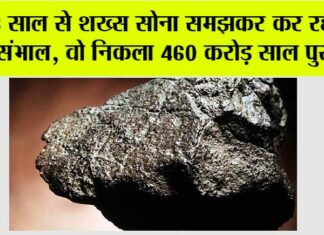 Rare Meteorite: सोने से भी मूल्यवान, निकली एक चट्टान! Rare Meteorite