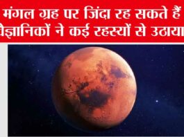 Rats Survive On Mars