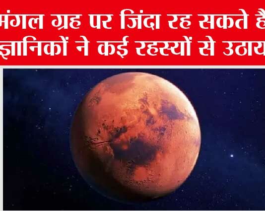 Rats Survive On Mars: मंगल ग्रह पर जिंदा रह सकते हैं चूहे, वैज्ञानिकों ने कई रहस्यों से उठाया पर्दा Rats Survive On Mars