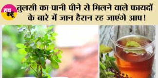 Tulsi Water Benefits