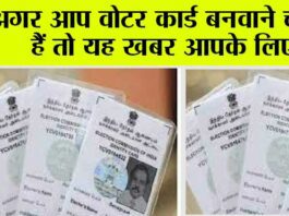 Voter ID Update