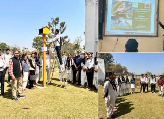 राजकीय महाविद्यालय बी बी नगर में मनाया विश्व गौरैया दिवस Bulandshahr News