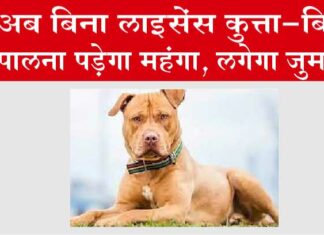 Dog New Rule: अब बिना लाइसेंस कुत्ता-बिल्ली पालना पड़ेगा महंगा, लगेगा जुर्माना Dog New Rule