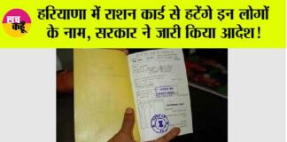 Haryana News