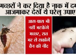 Mosquito Remedies