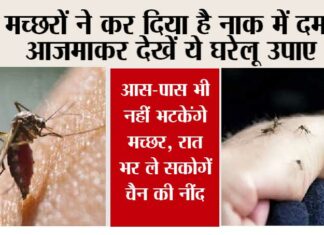 Mosquito Remedies
