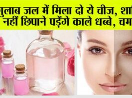 Gulab Jal Face Pack: अपनी स्किन को ग्लोइंग और चमकदार बनाने के लिए करें गुलाब जल का इस्तेमाल, जानें यूज करने का तरीका Gulab Jal Face Pack