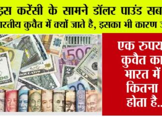 World Strongest Currency: इस करेंसी के सामने डॉलर पाउंड सब फेल, भारतीय कुवैत में क्यों जाते है, इसका भी कारण जानें… World Strongest Currency