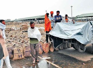 Abohar News