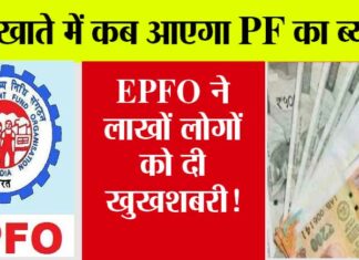 EPF Interest: अकाउंट में कब आएगा PF का ब्याज? EPFO ने दिया दिल खुश करने वाला जवाब, जानें… EPF News