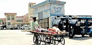 Fazilka News
