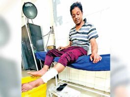 पिटबुल के हमले से व्यक्ति घायल, हाथ व पांव को नोंचा Hisar News