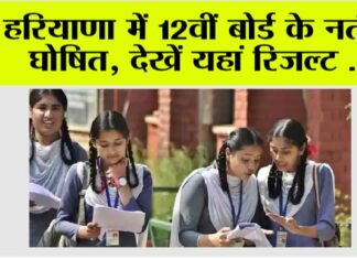 Haryana Board Class 12 Result
