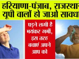 Heat Stroke Symptoms