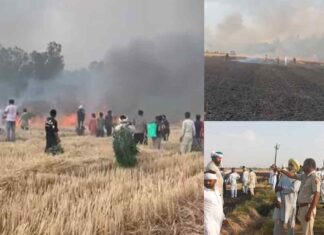 जाखल में 45 एकड़ गेंहू की खड़ी फसल जलकर राख Jakhal News