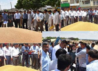 Kaithal News