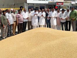 Sirsa News