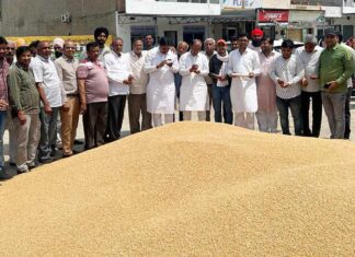 Sirsa News