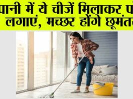 Mopping Tips: पानी में ये चीजें मिलाकर पोछा लगाएं, मच्छर होंगे छूमंतर! Mopping Tips