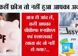 NPS vs PPF: आज ही जांच लें, कहीं आपका PPF, एनपीएस एवं एसएसवाई खाता बंद तो नहीं हो गया? NPS vs PPF