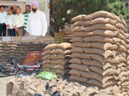 लाखों कट्टे गेहूं खुले आसमान के नीचे, व्यापारियों में रोष Pehowa News