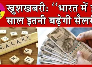 Salary Hike in India: खुशखबरी! ‘‘भारत में इस साल इतनी बढ़ेगी सैलरी’’ जूनियर मारेंगे सीनियर्स से बाजी! Salary Hike