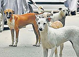 Ghaziabad News