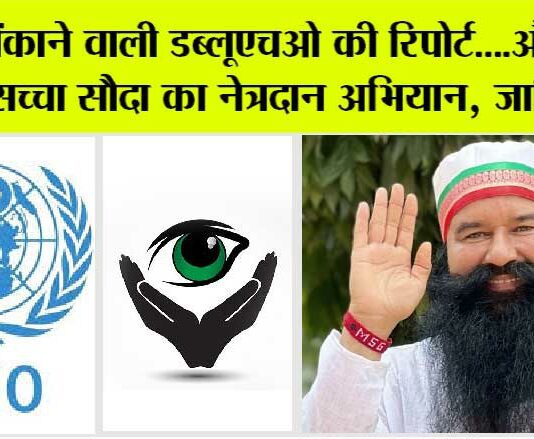 dera sacha sauda