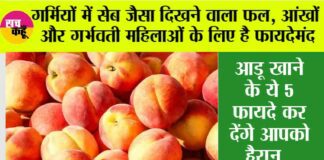 Aadu fruit Benefits