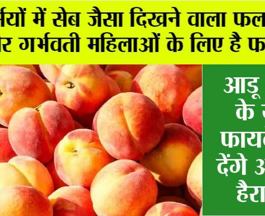 Aadu fruit Benefits: गर्मियों में सेब जैसा दिखने वाला फल, आंखों और गर्भवती महिलाओं के लिए है फायदेमंद Aadu fruit Benefits