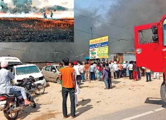 Barnala News
