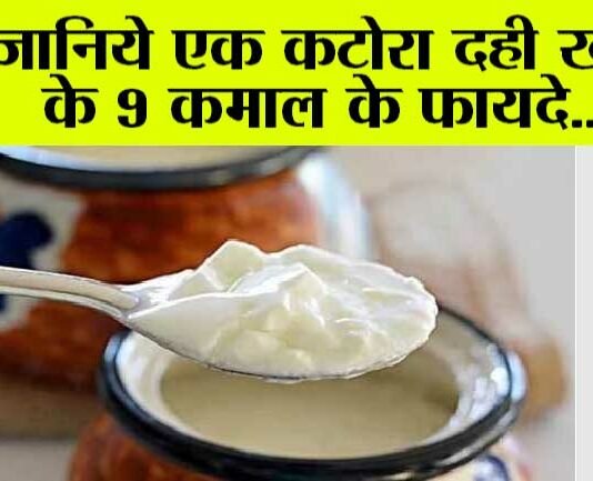 Benefits Of Eating Curd: एक कटोरी दहीं खाने से मिल सकते हैं ये 9 गजब के फायदे Benefits Of Eating Curd
