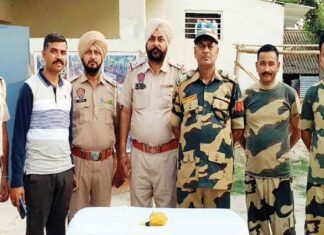 Fazilka News