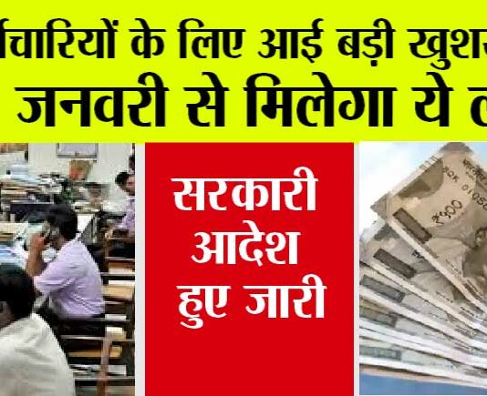 Government Employees News: सरकारी कर्मचारियों को शानदार तोहफा, खुशखबरी का आदेश जारी Government Employees News