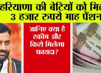 Haryana News