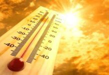 Haryana Punjab Weather Update