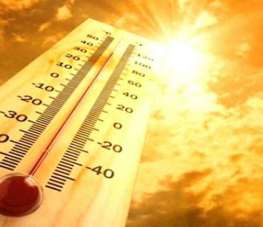 Haryana Punjab Weather Update